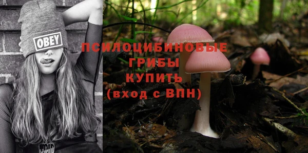 ALPHA-PVP Заводоуковск