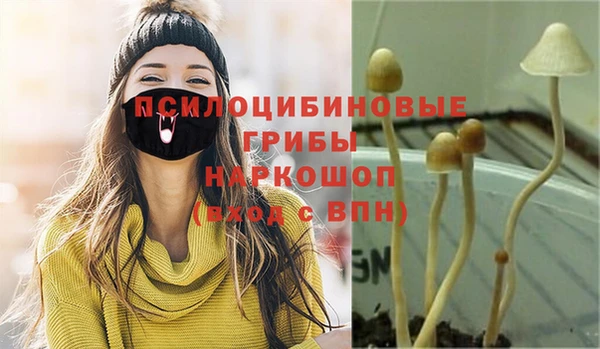 ALPHA-PVP Заводоуковск