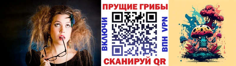 Купить закладки  Ува  Галлюциногенные грибы Psilocybine cubensis 
